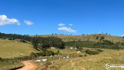 Fazenda-Sítio-Chácara, 650 m² - Foto 3
