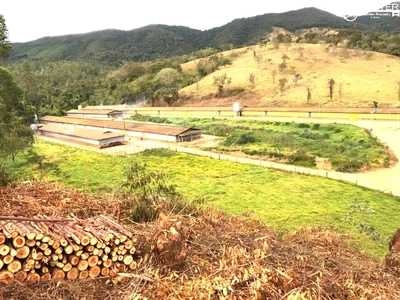 Fazenda, 10 hectares - Foto 3