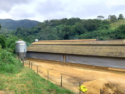 Fazenda, 10 hectares - Foto 1