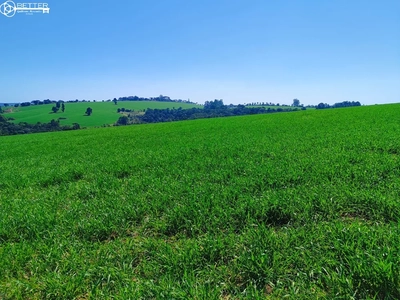 Fazenda-Sítio-Chácara, 136 m² - Foto 1