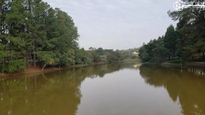 Casa, 5 quartos - Foto 3