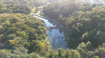 Terreno, 2002 m² - Foto 3