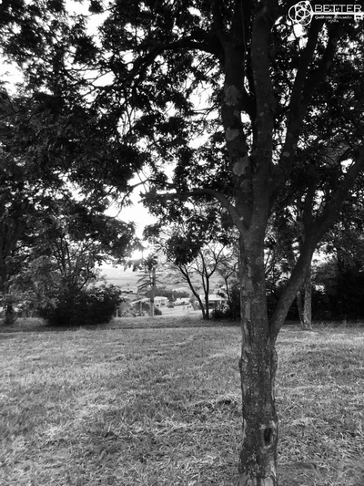 Terreno, 2002 m² - Foto 1