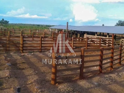 Fazenda, 4860 m² - Foto 2