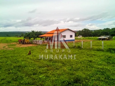 Fazenda, 10000 m² - Foto 4