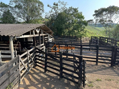Fazenda-Sítio-Chácara, 201 hectares - Foto 5