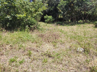 Terreno, 1000 m² - Foto 4