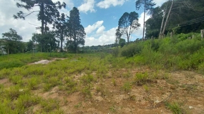 Terreno, 3394 m² - Foto 5