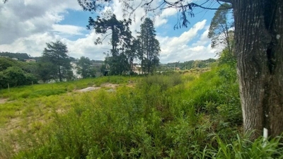 Terreno, 3394 m² - Foto 3