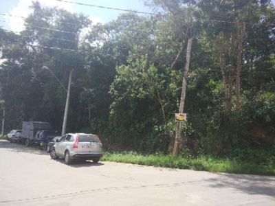 Terreno, 6999 m² - Foto 4