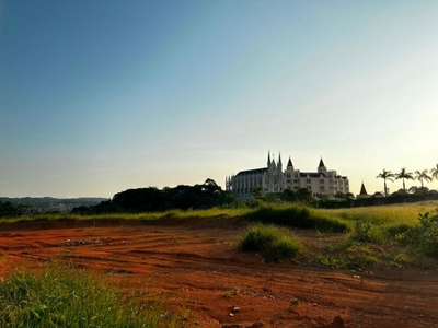 Terreno, 5 hectares - Foto 1