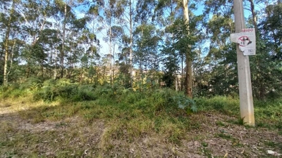 Terreno, 8800 m² - Foto 2