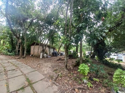 Terreno, 6 hectares - Foto 5