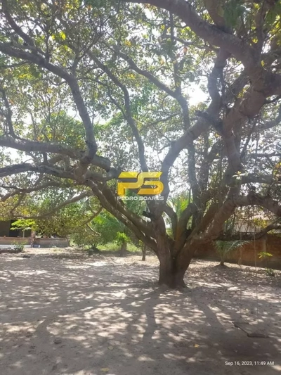 Sítio, 2 quartos, 7000 m² - Foto 4