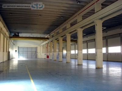 Depósito-Galpão, 3000 m² - Foto 3