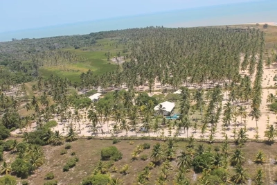 Fazenda-Sítio-Chácara, 5 hectares - Foto 5