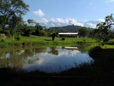 Fazenda-Sítio-Chácara, 200 m² - Foto 2