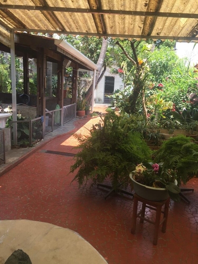 Casa, 3 quartos, 320 m² - Foto 1