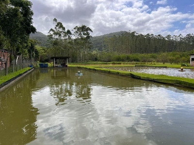 Sítio, 3 quartos, 2 hectares - Foto 5