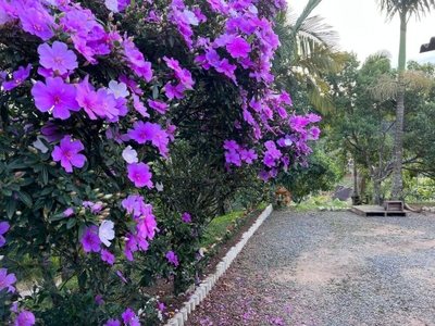 Sítio, 5 quartos, 2 hectares - Foto 2