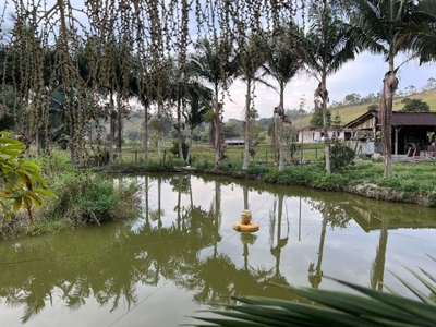 Sítio, 5 quartos, 2 hectares - Foto 1