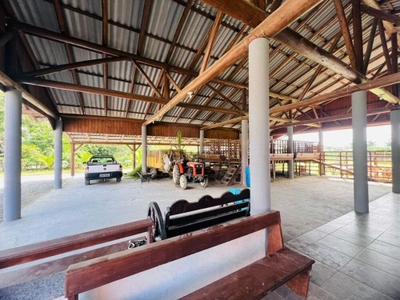 Sítio, 3 quartos, 3000 m² - Foto 4