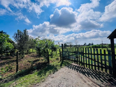 Sítio, 3 quartos, 3000 m² - Foto 5