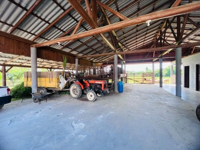 Sítio, 3 quartos, 3000 m² - Foto 3