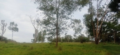 Terreno, 5 hectares - Foto 2