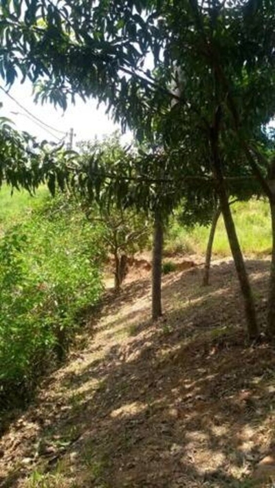 Terreno, 2000 m² - Foto 2