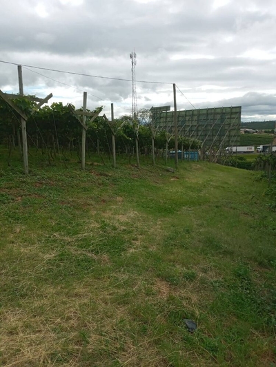 Terreno, 1 hectares - Foto 2