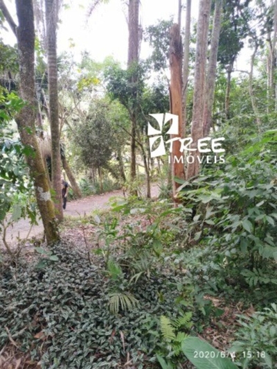 Terreno, 4900 m² - Foto 5