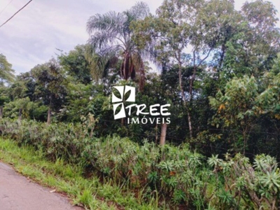 Terreno, 1269 m² - Foto 3