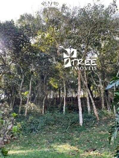 Terreno, 1260 m² - Foto 3