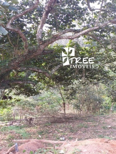 Chácara, 7646 m² - Foto 2