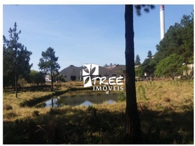 Depósito-Galpão, 9000 m² - Foto 3