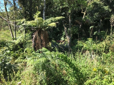 Terreno, 790 m² - Foto 4