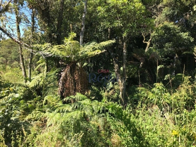 Terreno, 790 m² - Foto 3