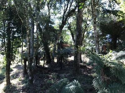 Terreno, 688 m² - Foto 4