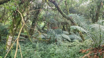 Terreno, 1423 m² - Foto 4