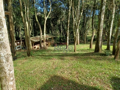 Sítio, 4 quartos, 4 hectares - Foto 3