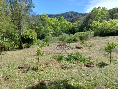 Sítio, 4 quartos, 4 hectares - Foto 2