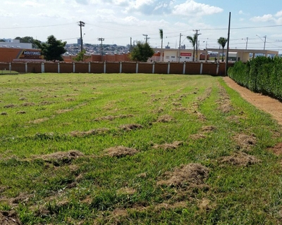Terreno - Foto 1