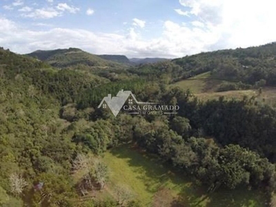 Sítio, 1 quarto, 5000 m² - Foto 2