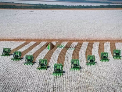 Terreno, 6 hectares - Foto 1