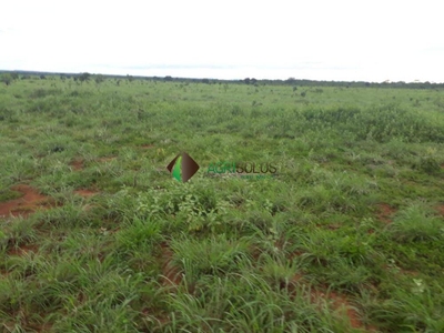 Terreno, 5000 m² - Foto 4