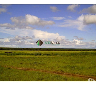 Terreno, 2 hectares - Foto 3