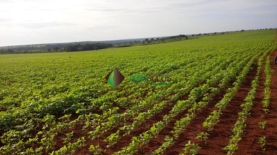 Terreno, 2000 m² - Foto 3