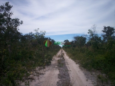 Terreno, 3 hectares - Foto 3