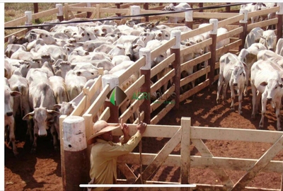 Terreno, 5650 m² - Foto 1